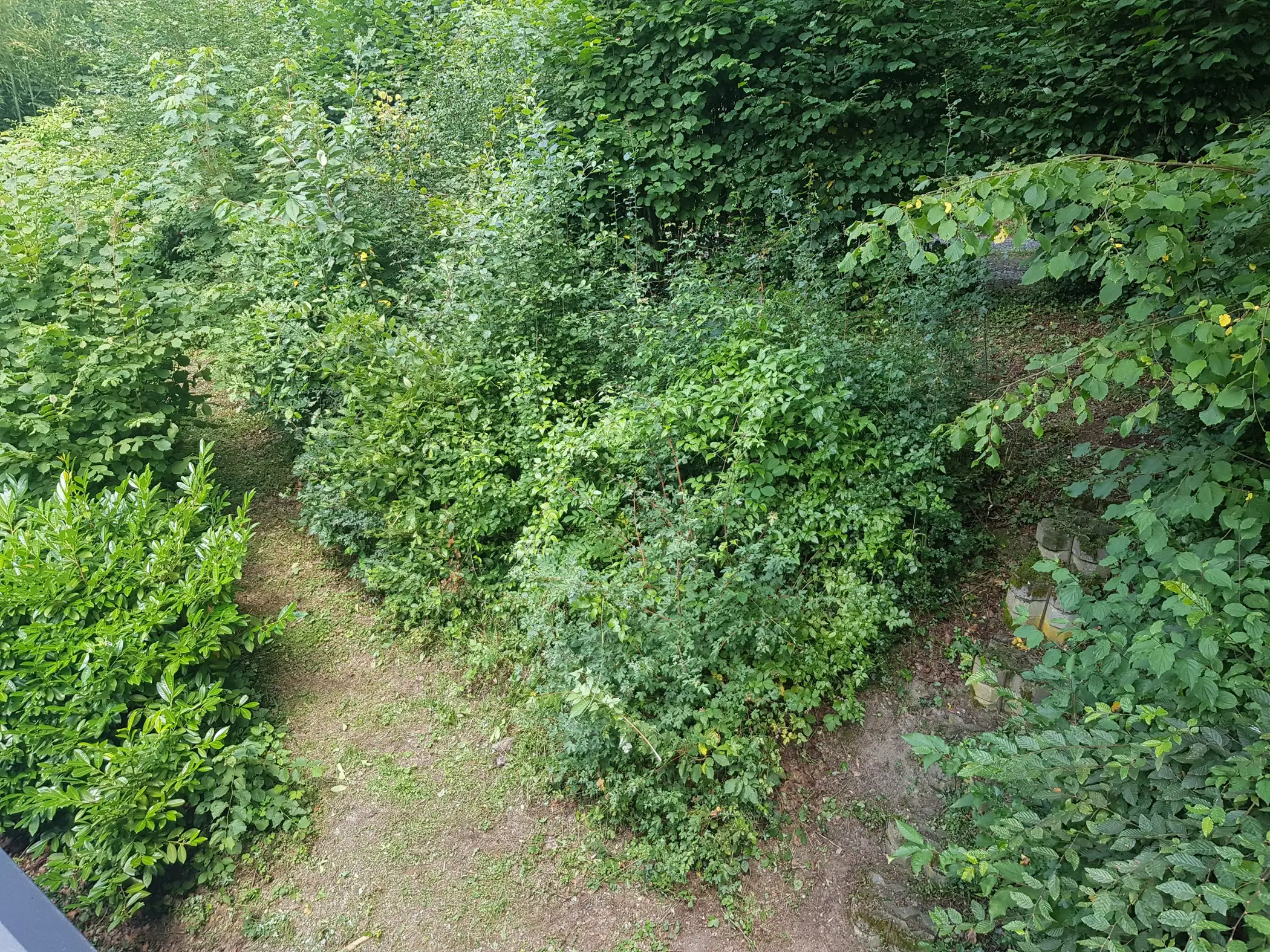 Cottage for 4 people in Erezée Au Chalet de Mélines